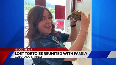 Lost tortoise reunited with Colorado Springs family after 3 years